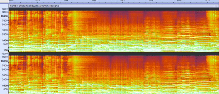 spettrogramma 1min10s-1min45s