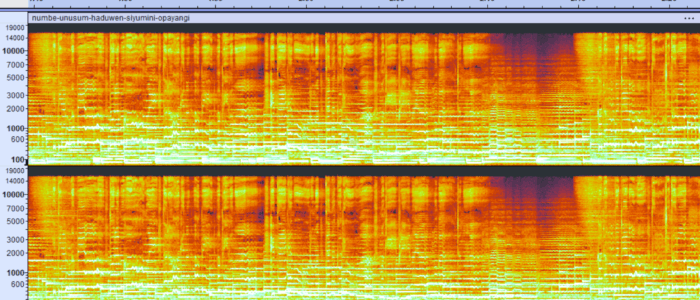 spettrogramma 1min45s-2min20s