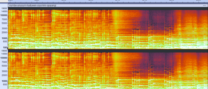 spettrogramma 2min20s-2min55s