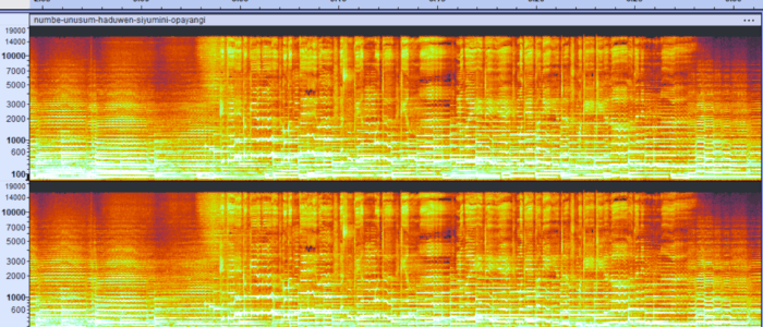 spettrogramma 2min55s-3min30s